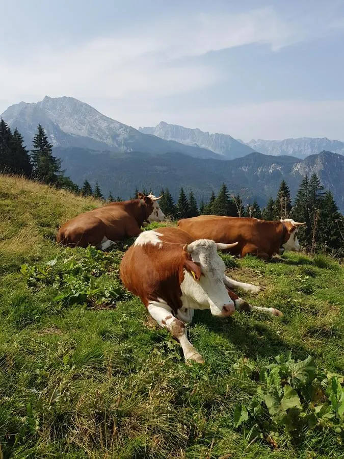 Vintage Kammerl Schönau am Königssee Alemanha